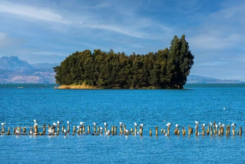 微信截图_20250722125125